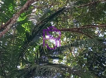 Imagem 1 · Chácara para venda em Umuarama, Itanhaém
