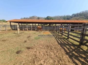 Imagem 1 · Fazenda para venda em Dois Córregos