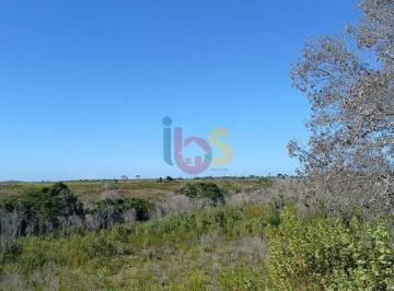 Imagem 1 · Fazenda para venda em Centro, Santa Cruz Cabrália