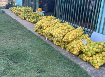 Imagem 1 · Chácara para venda em Centro, São Miguel do Passa Quatro