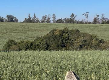 Imagem 1 · Fazenda para venda em Área Rural de Santa Rita do Sapucaí, S