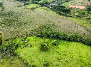 Imagem 1 · Terreno para venda em Rosário, Oliveira