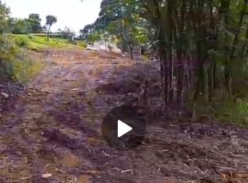 Imagem 1 · Chácara para venda em Centro, Mário Campos
