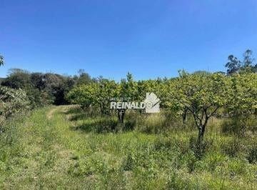 Imagem 1 · Sítio para venda em Mombuca, Itatiba