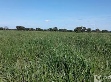 Imagem 1 · Fazenda para venda em Centro, João Pinheiro