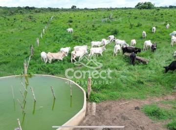 Imagem 1 · Fazenda para venda em Catolândia