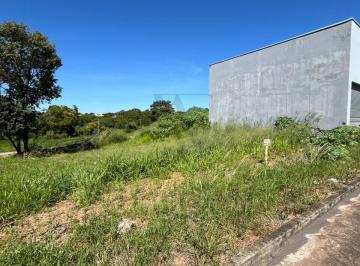 Imagem 1 · Terreno para venda em Setor Negrinho Carrilho, Goianésia