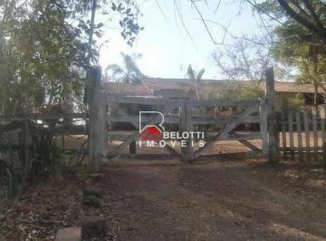 Imagem 2 · Sítio para venda em Ferraz, Rio Claro