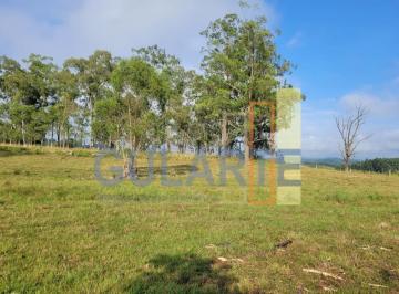 Imagem 1 · Fazenda para venda em Centro, Sentinela do Sul