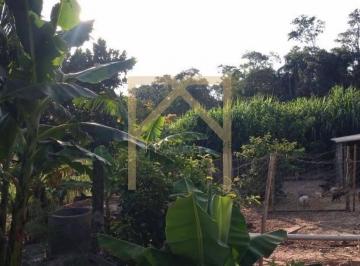 Imagem 1 · Sítio para venda em Itapetininga