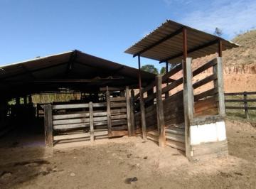 Imagem 1 · Sítio para venda em Vila São José, Guaratinguetá