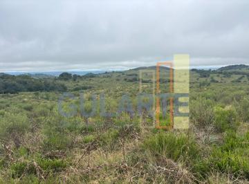 Imagem 1 · Fazenda para venda em Centro, Pinheiro Machado