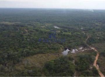 Imagem 1 · Fazenda para venda em Itacimirim (Monte Gordo), Camaçari