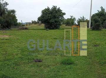 Imagem 1 · Fazenda para venda em Centro, Pinheiro Machado