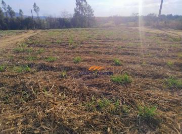 Imagem 1 · Fazenda para venda em Tambaú