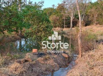 Imagem 1 · Chácara para venda em Área Rural de Araguari, Araguari