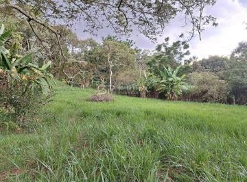 Imagem 1 · Chácara para venda em Cruz, Lorena