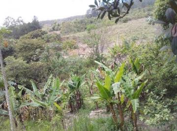 Imagem 1 · Chácara para venda em Santa Branca