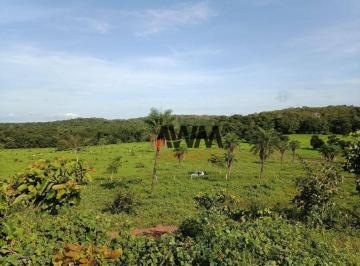 Imagem 1 · Fazenda para venda em Centro, Miracema do Tocantins