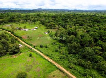 Imagem 1 · Fazenda para venda em Área Rural de Ilhéus, Ilhéus
