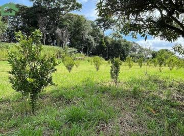 Imagem 1 · Sítio para venda em Traviú, Jundiaí