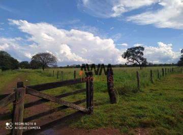 Imagem 1 · Fazenda para venda em Centro, Cristalândia