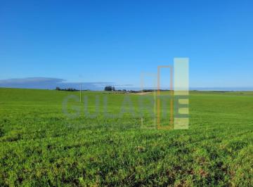 Imagem 1 · Fazenda para venda em Centro, Alegrete