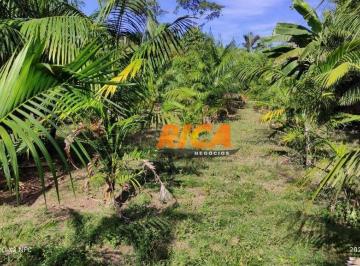 Imagem 1 · Fazenda para venda em Canutama