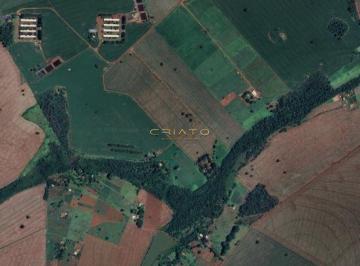 Imagem 1 · Sítio para venda em Área Rural de Rio Verde, Rio Verde