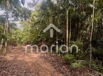 Imagem 1 · Sítio para venda em Centro, Massaranduba