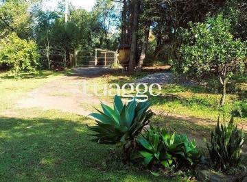Imagem 1 · Sítio para venda em Tijuca, Alvorada