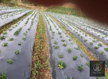 Imagem 1 · Sítio para venda em Piedade