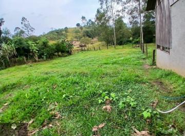 Imagem 1 · Sítio para venda em Lauro Müller