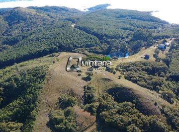 Imagem 1 · Fazenda para venda em Centro, Piratini