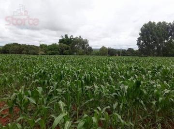 Imagem 1 · Sítio para venda em Uberlândia