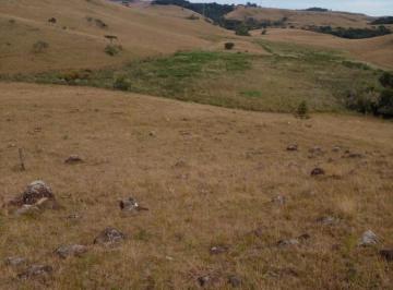 Imagem 1 · Fazenda para venda em Centro, São Francisco de Paula