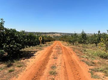 Imagem 1 · Fazenda para venda em Centro, Nhandeara