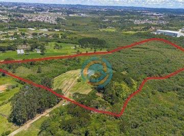 Imagem 1 · Sítio para venda em Colônia Murici, São José dos Pinhais