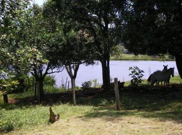 Imagem 1 · Sítio para venda em Cesário Lange