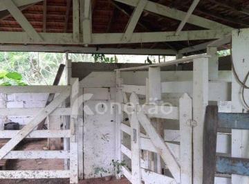 Imagem 1 · Sítio para venda em Centro, Monteiro Lobato