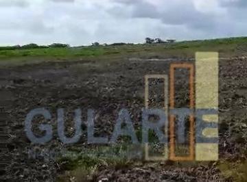 Imagem 1 · Fazenda para venda em Centro, Pelotas