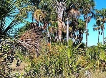 Imagem 1 · Fazenda para venda em Plano Diretor Norte, Palmas
