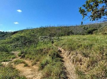 Imagem 1 · Fazenda para venda em Centro, Bananal