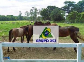 Imagem 1 · Sítio para venda em Poço Grande, Tremembé
