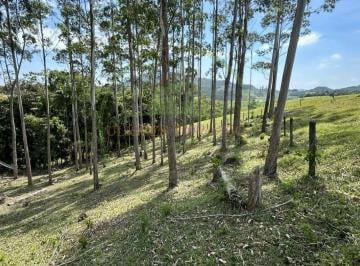 Imagem 1 · Sítio para venda em Área Rural de Itajaí, Itajaí