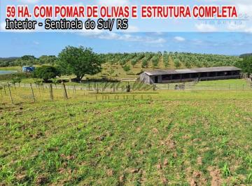 Imagem 1 · Fazenda para venda em Sentinela do Sul