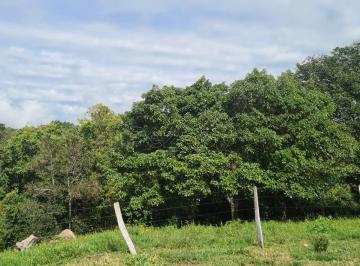 Imagem 1 · Fazenda para venda em Centro, Itapuranga