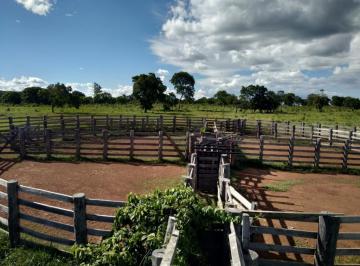 Imagem 1 · Fazenda para venda em Rio Negro