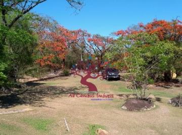 Imagem 1 · Sítio para venda em Carlos Gomes, Campinas