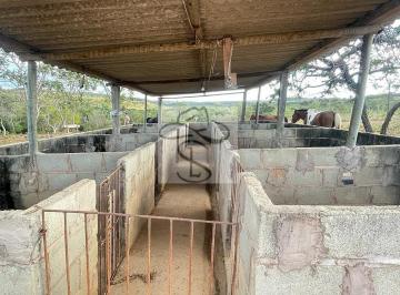 Imagem 1 · Fazenda para venda em Centro, Grão Mogol